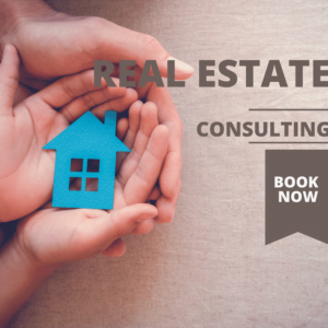 overseas real estate consulting